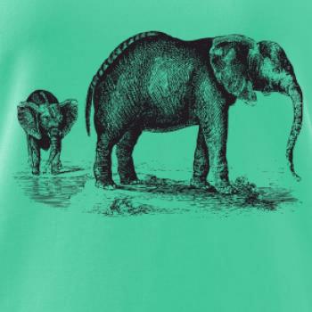 Slonice a slůně kreslené