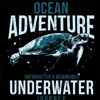Turtle journey