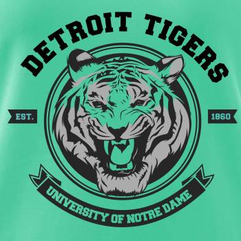 Tiger detroit