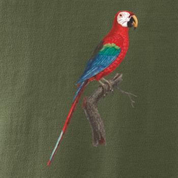 Papoušek červený na větvi