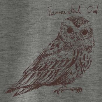 Výreček plaménkový flammulated owl