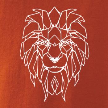 Geometrie - lev tvář