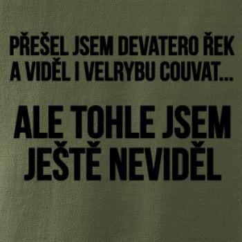 Viděl jsem velrybu couvat