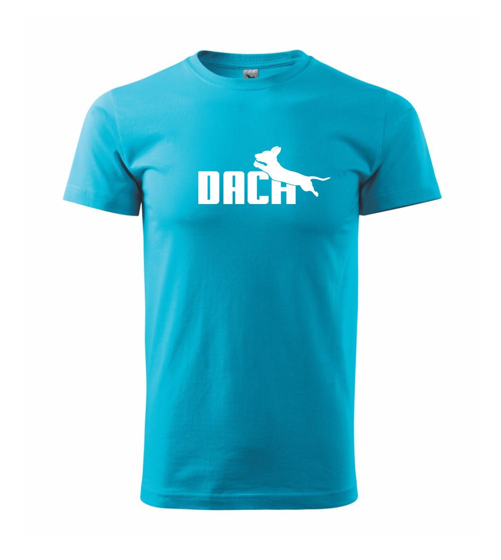 Jezevčík Dach Jezevčík Dach