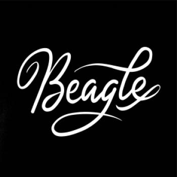 Beagle - nápis okrasný