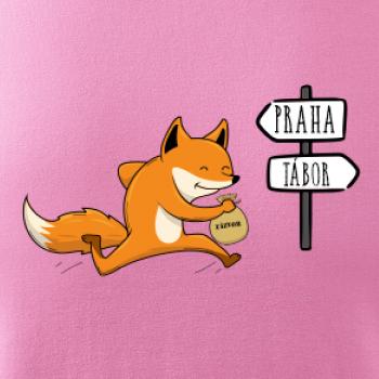 Běží liška k táboru