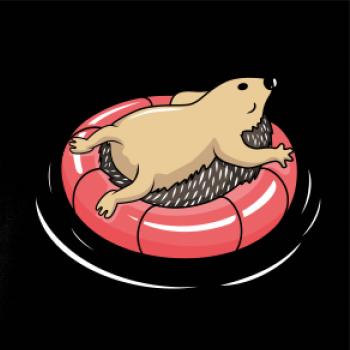 Ježek relax
