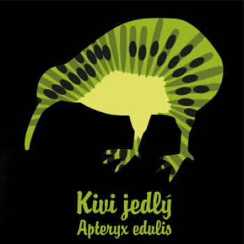 Kiwi jedlý (Hana-creative)
