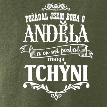 Požádal jsem boha o anděla a on mi poslal moji tchýni