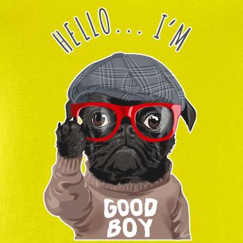 Mops - Hello I'm Good boy