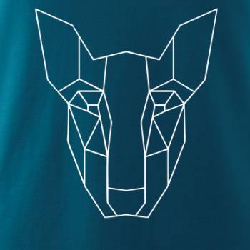 Americký Pit Bull Teriér - Geometrie