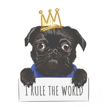 Mops - I rule the world Mops - I rule the world