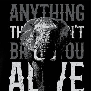 Elephant toosmall