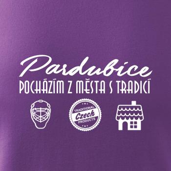 Pardubice město s tradicí