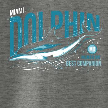 Dolphin miami