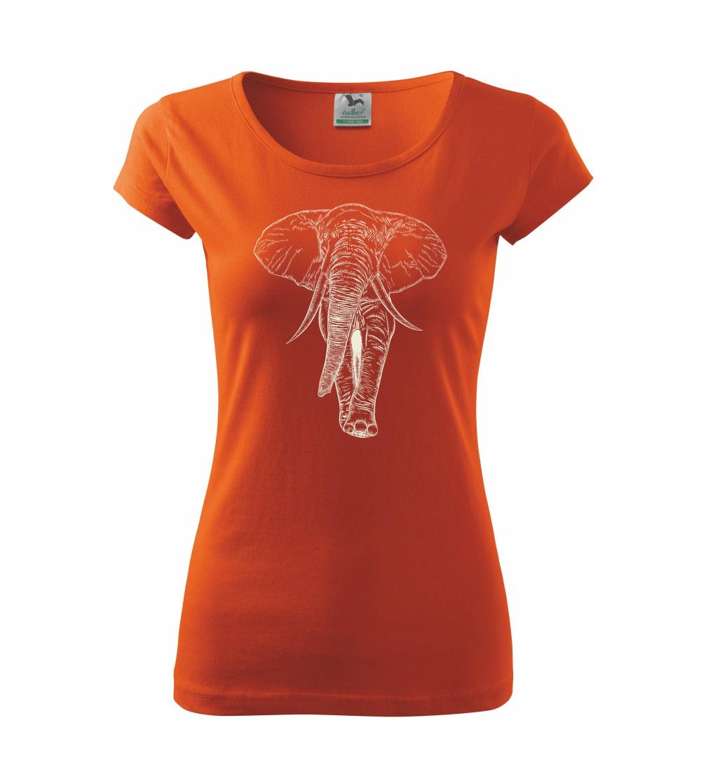 Slon v barvě slonové kosti