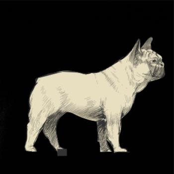 Vintage French bulldog
