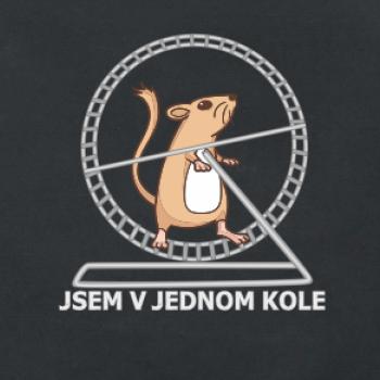 Jsem v jednom kole Jsem v jednom kole