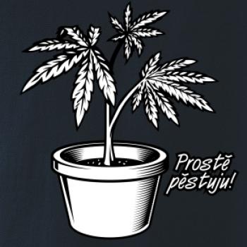 Konopi prostě pěstuju Konopi prostě pěstuju