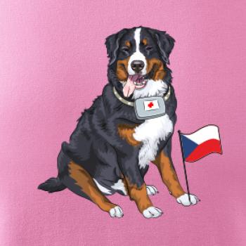 Pes záchranář bernský salašnický