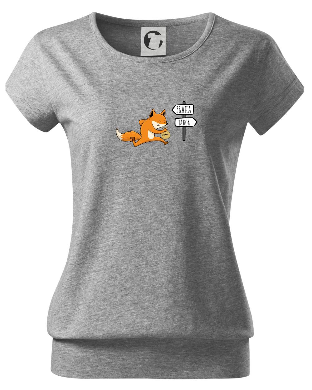 Běží liška k táboru