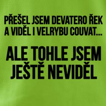 Viděl jsem velrybu couvat