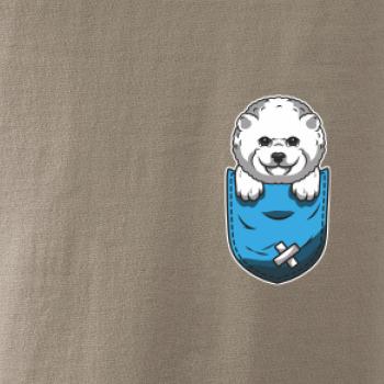 Bišonek v kapsičce