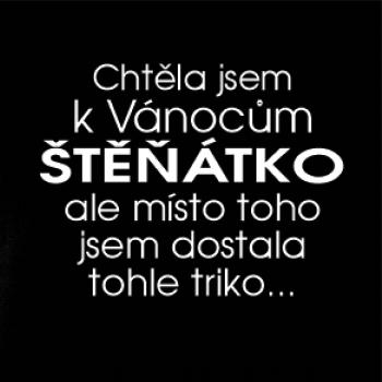 Chtěla jsem k Vánocům stěňátko