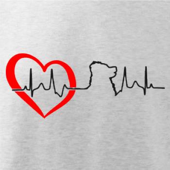 Bernský salašnický pes EKG