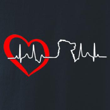 Bernský salašnický pes EKG