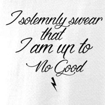 I solemnly swear that I'm up to no good