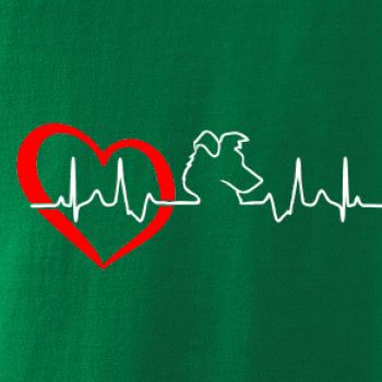 Border kolie EKG Border kolie EKG