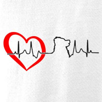 Bernský salašnický pes EKG