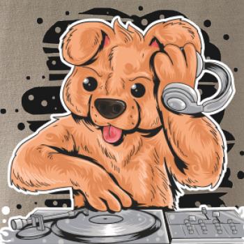 DJ Teddy