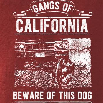Gangs Of California