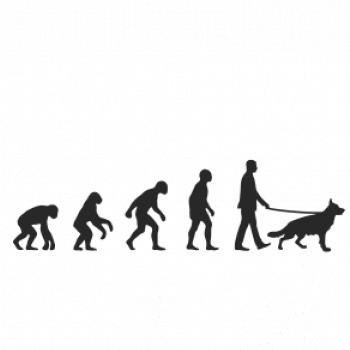 Evoluce pes Německý ovčák (muž-žena) Evoluce pes Německý ovčák (muž-žena)