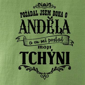 Požádal jsem boha o anděla a on mi poslal moji tchýni