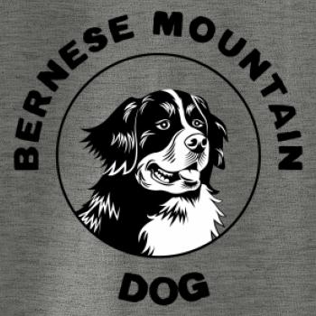 Bernese mountain dog v kruhu