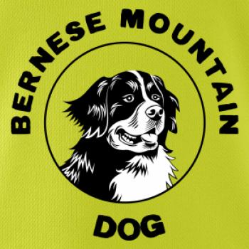 Bernese mountain dog v kruhu