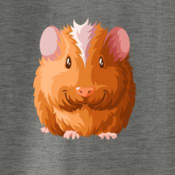 Morče - kreslené zepředu