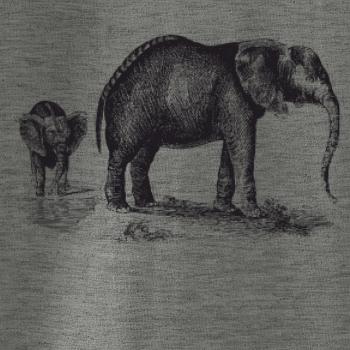 Slonice a slůně kreslené