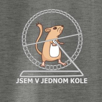 Jsem v jednom kole