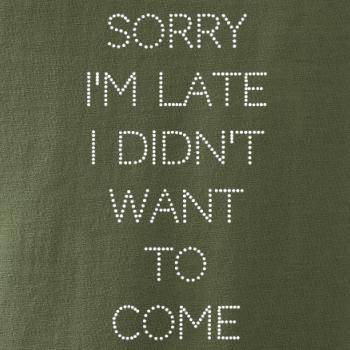 Sorry I am late i didn't want to come