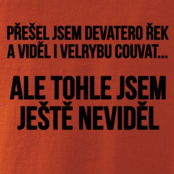 Viděl jsem velrybu couvat