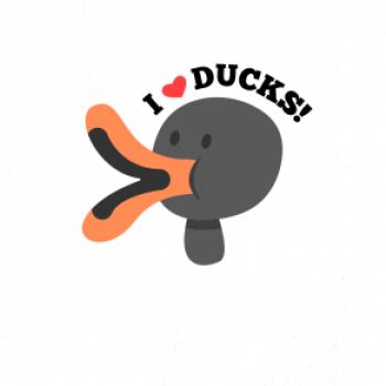 I love ducks - kreslený I love ducks - kreslený