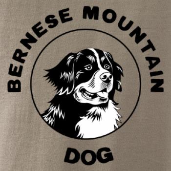 Bernese mountain dog v kruhu