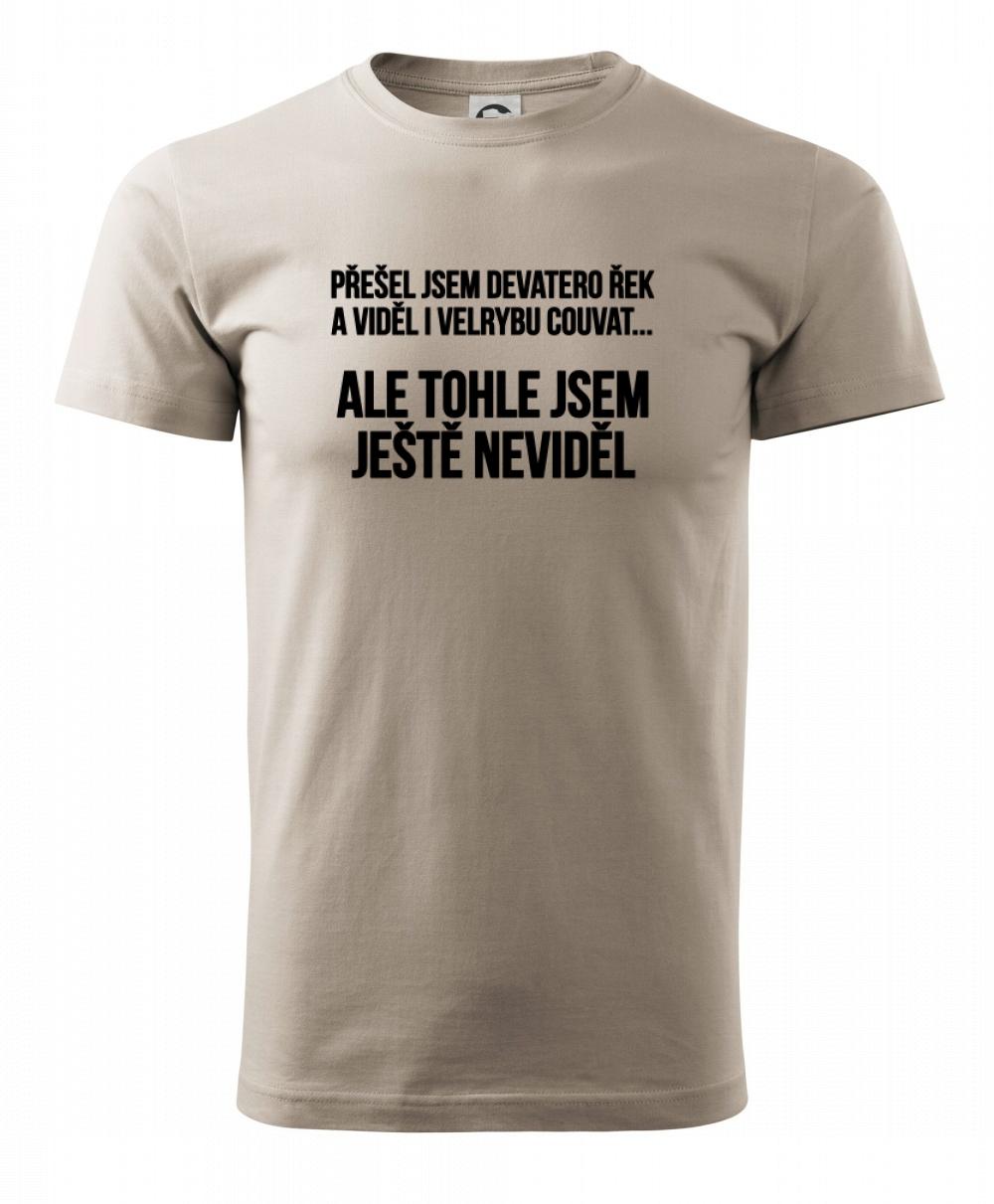 Viděl jsem velrybu couvat Viděl jsem velrybu couvat