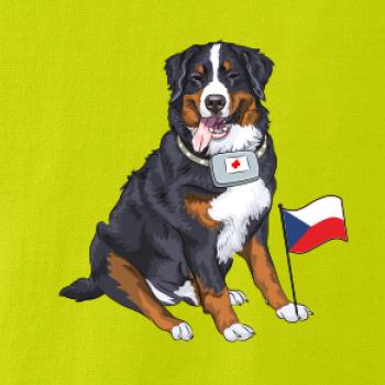 Pes záchranář bernský salašnický
