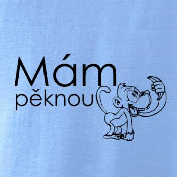Mám pěknou vopici Mám pěknou vopici