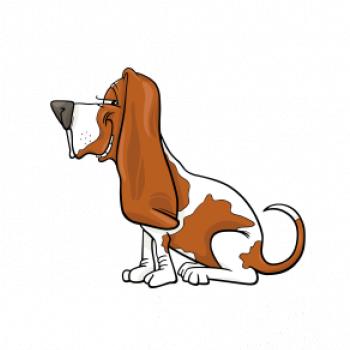 Baset s kulišáckým pohledem